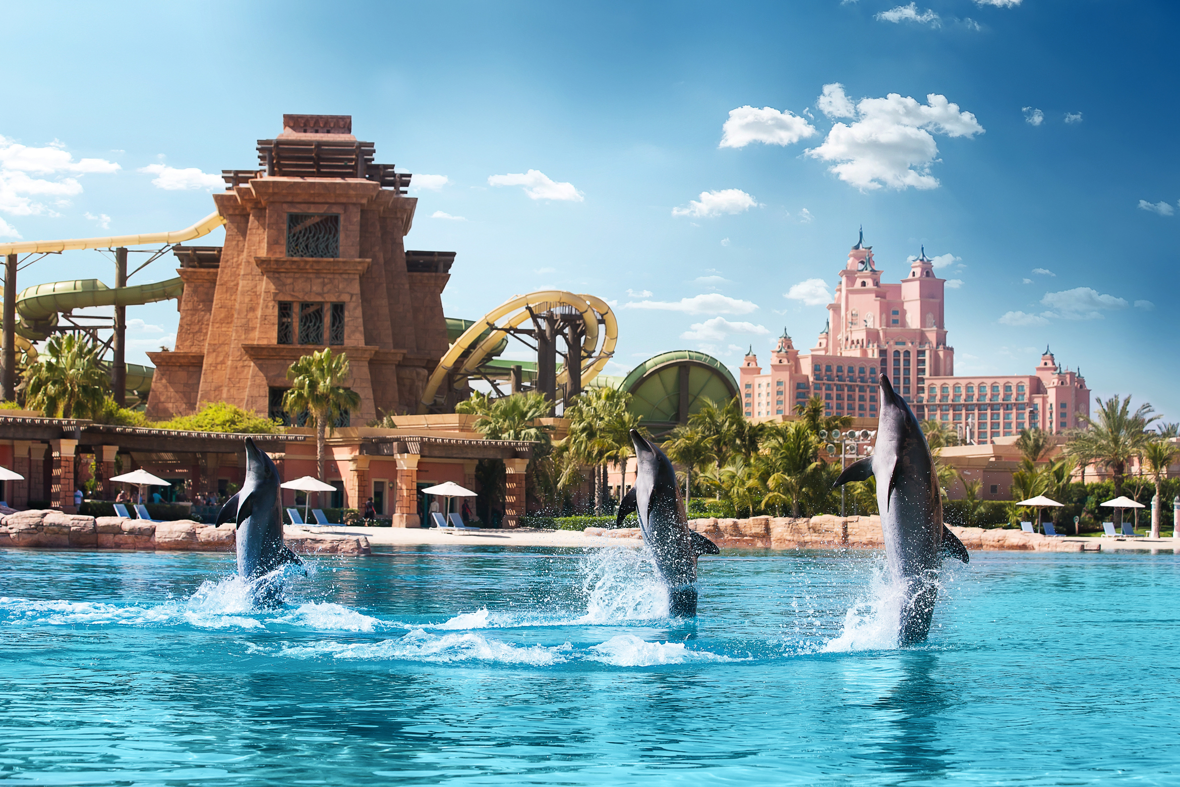 8 Best Dubai Hotels with Free Waterpark Access
